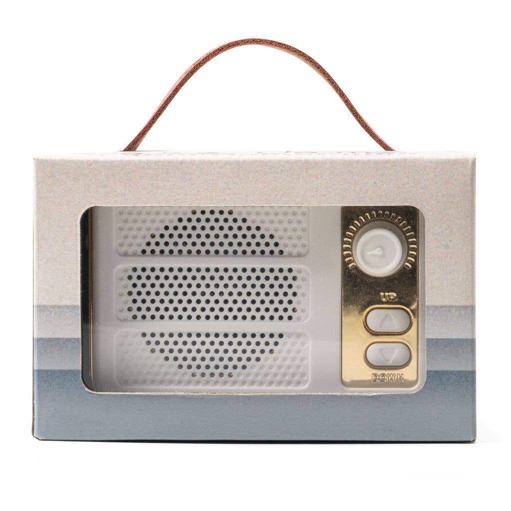 Rechargeable Bluetooth Speaker